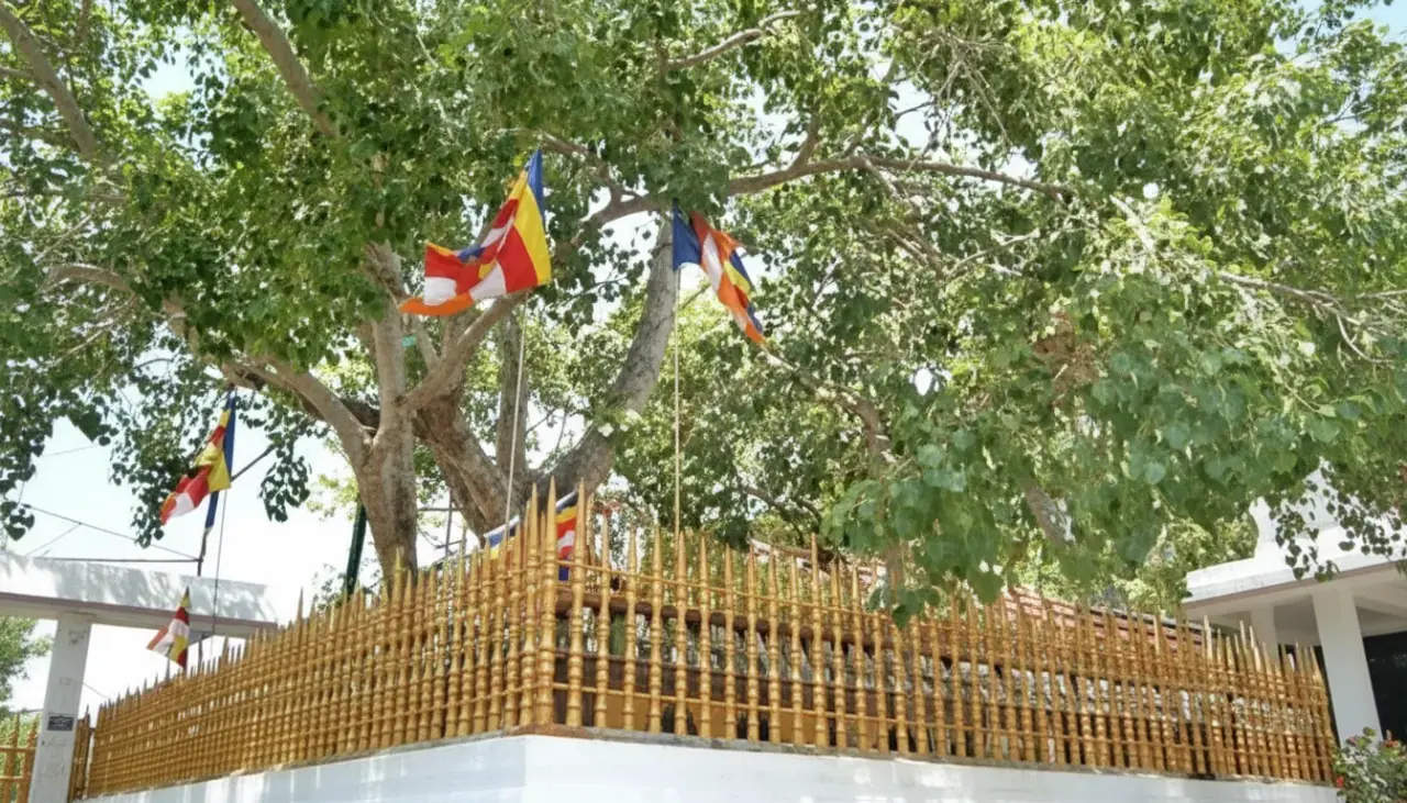 Jaya Sri Maha Bodhi